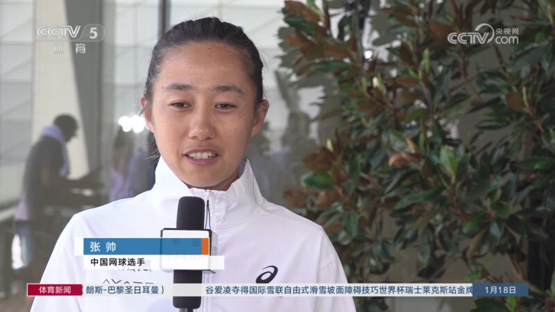 美元的收入