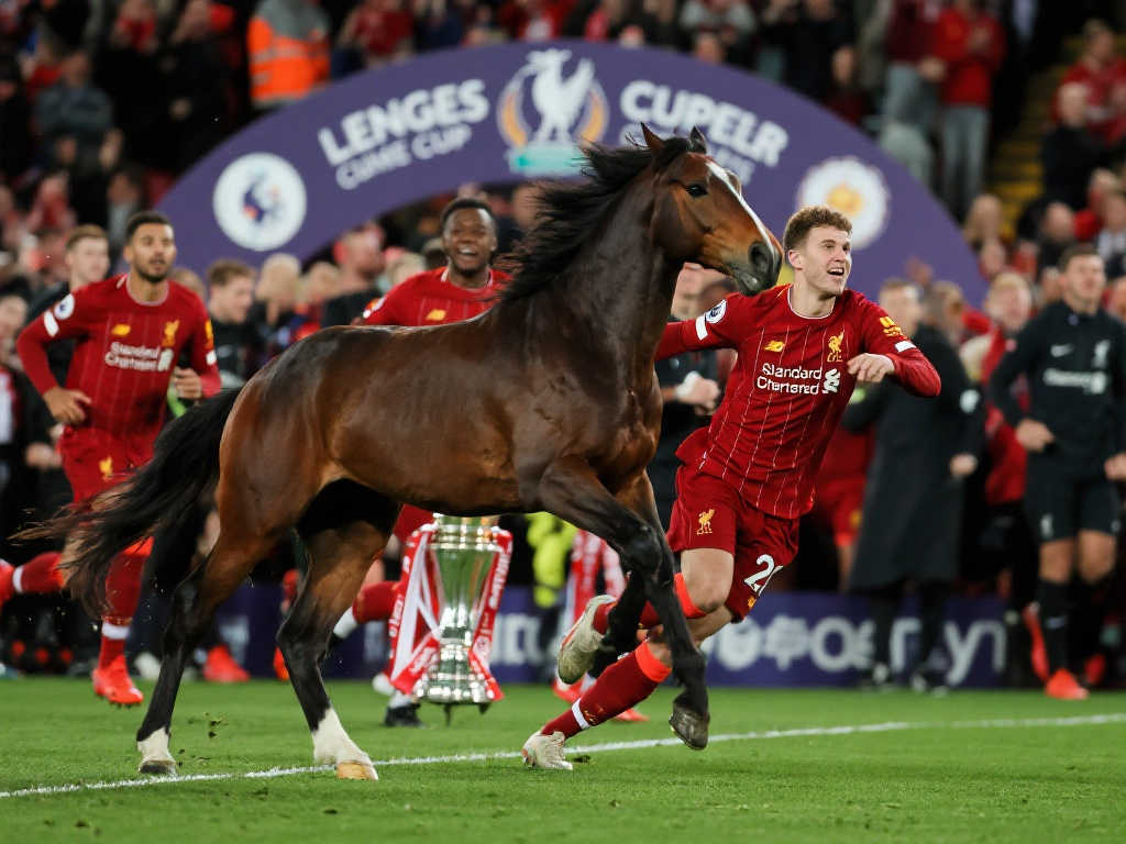 长白山国际 长白山国际